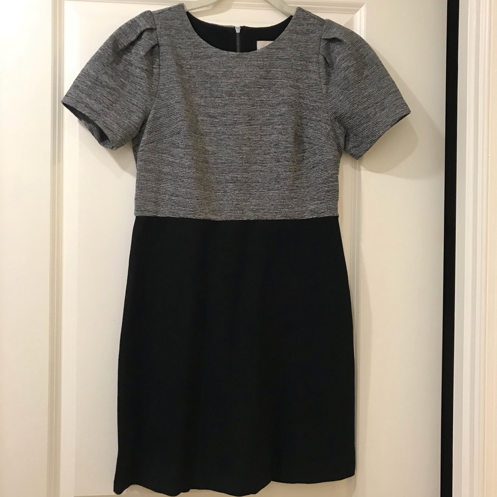 Ann Taylor Loft petite cap sleeved work dress